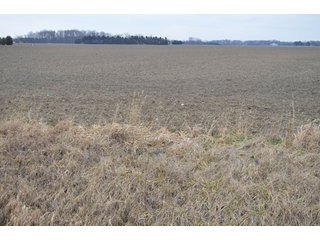 Property photo 35 - 175 Acres Offered in 5 Tracts - Tontogany, Ohio Farm Land Auction